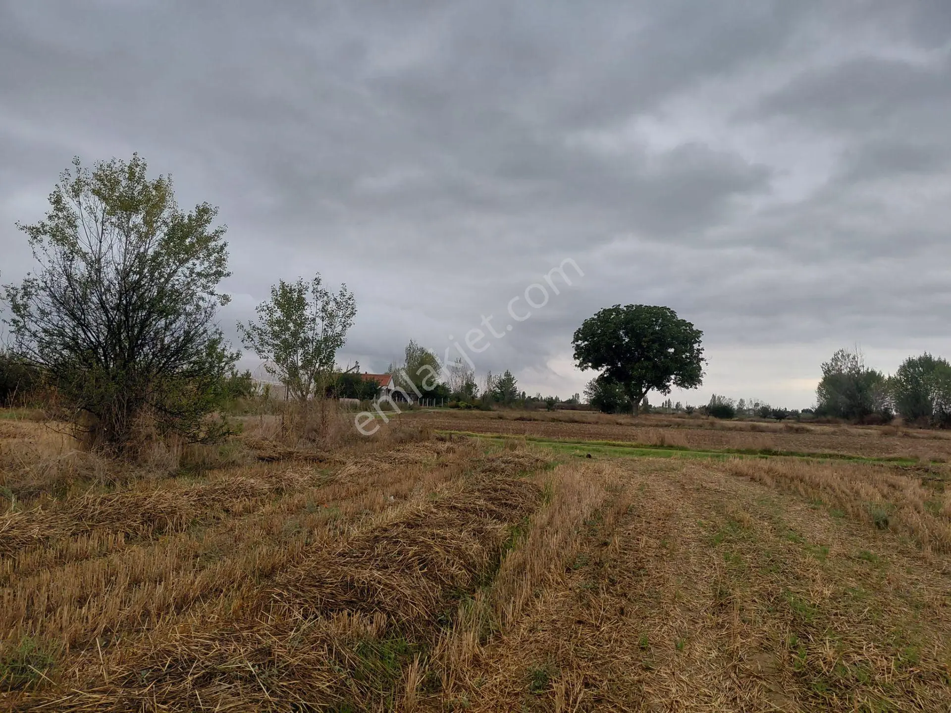 Bizizm Emlaktan Akşehir Yazla'da Satılık 2135 M² Doğa Manzaralı Tarla — fotoğraf 3