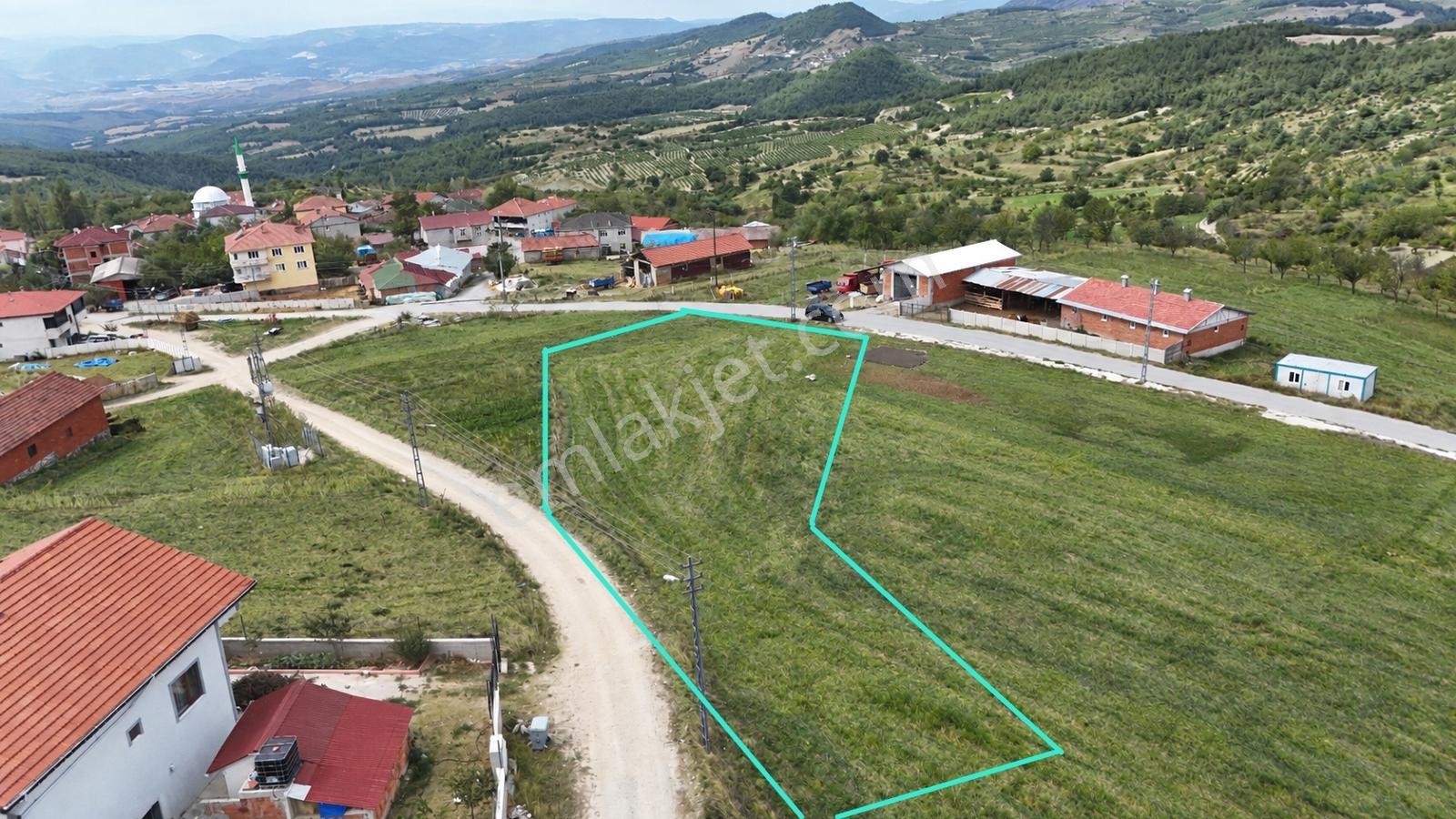 Geyve Halidiyede 1777 M2 Asfalt Cepheli İmarlı Arsa