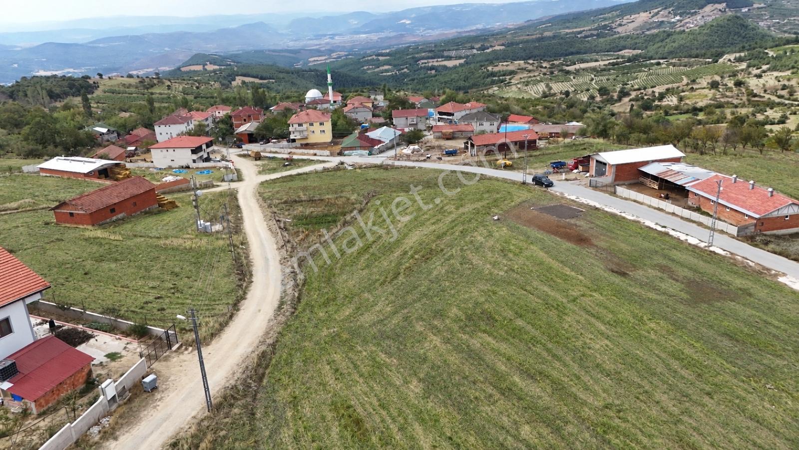 Geyve Halidiyede 1777 M2 Asfalt Cepheli İmarlı Arsa — fotoğraf 2