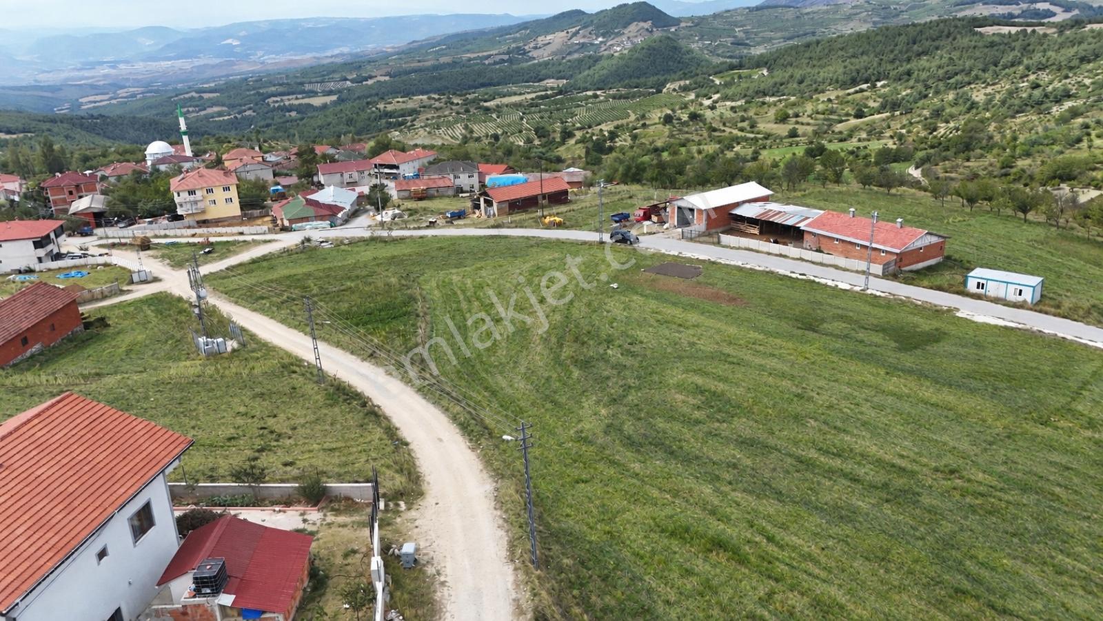 Geyve Halidiyede 1777 M2 Asfalt Cepheli İmarlı Arsa — fotoğraf 5