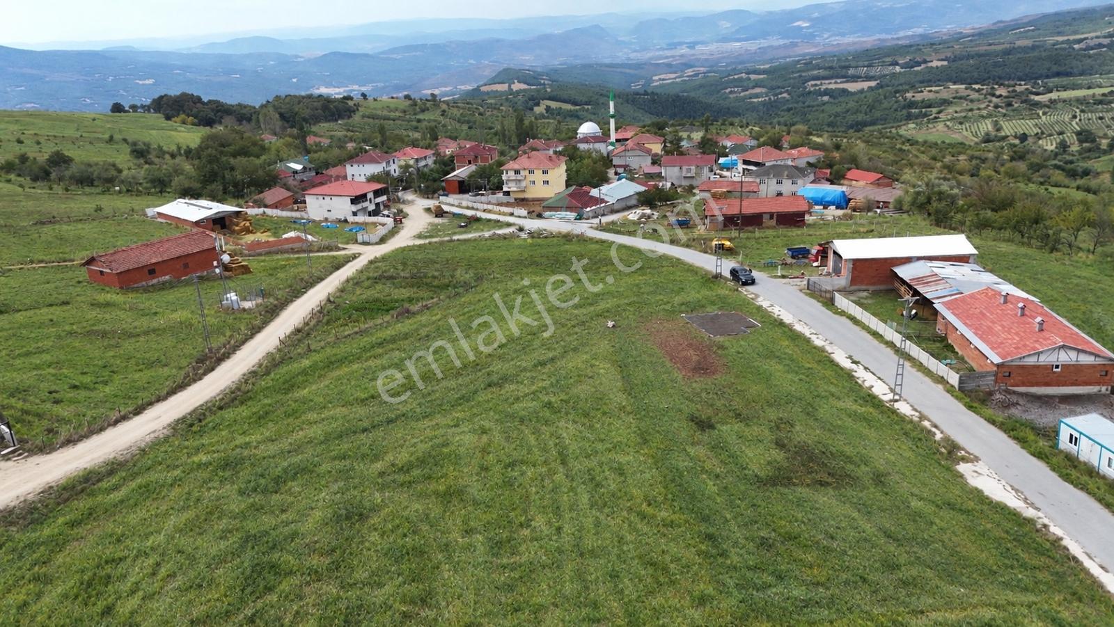 Geyve Halidiyede 1777 M2 Asfalt Cepheli İmarlı Arsa — fotoğraf 7