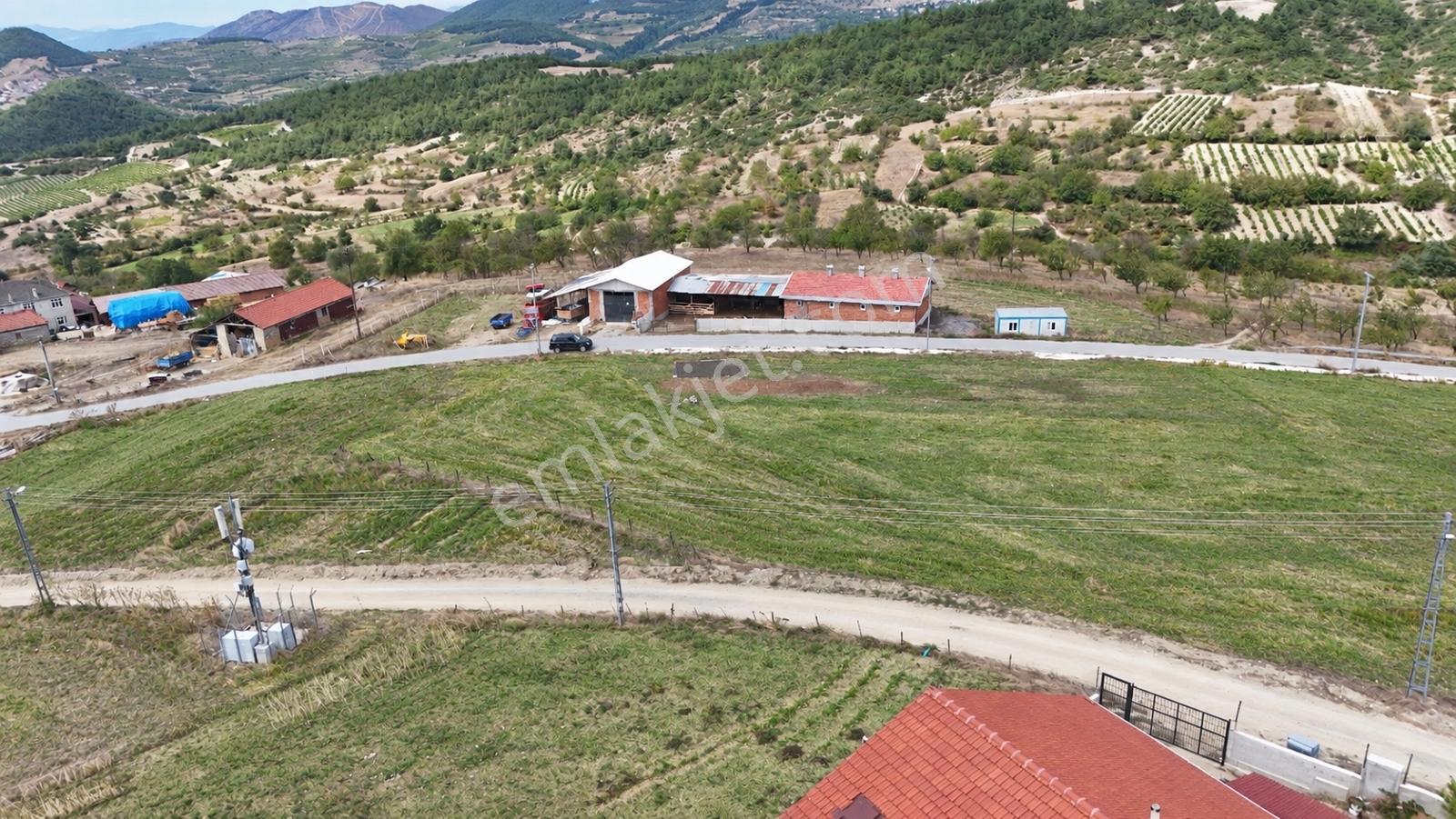Geyve Halidiyede 1777 M2 Asfalt Cepheli İmarlı Arsa — fotoğraf 14