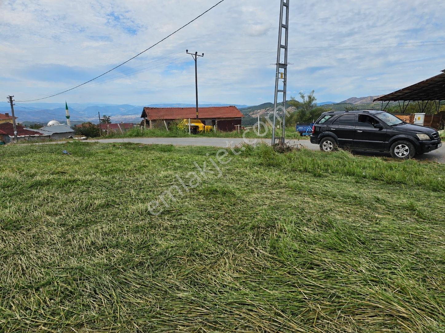 Geyve Halidiyede 1777 M2 Asfalt Cepheli İmarlı Arsa — fotoğraf 17