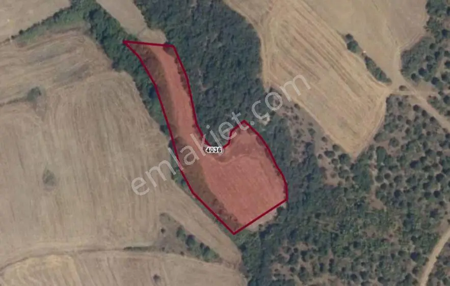 The Poınt'Ten Badırga'Da 4649 M2 Satılık Tarla