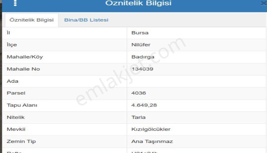 The Poınt'ten Badırga'da 4649 M2 Satılık Tarla — fotoğraf 2