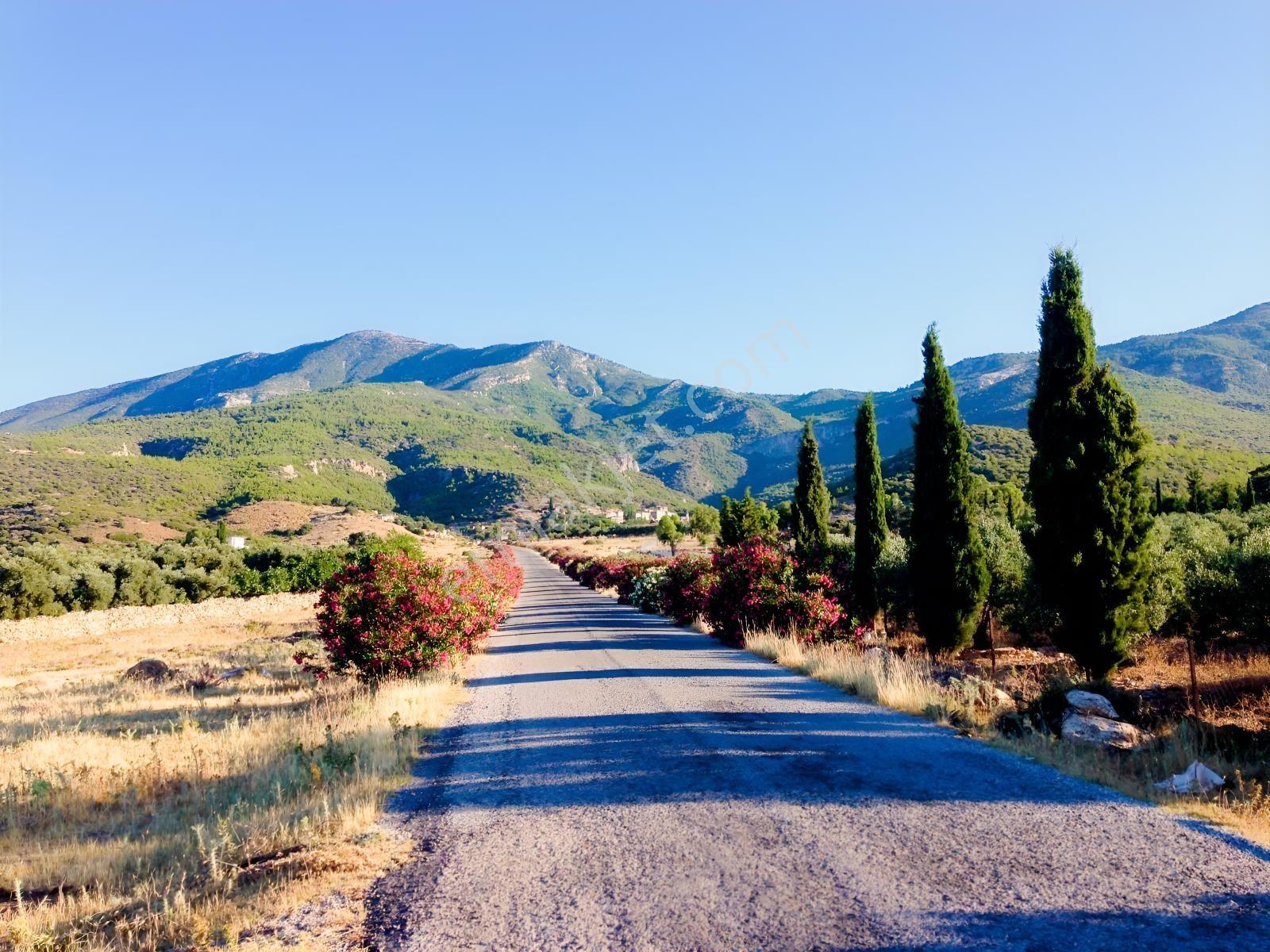 Doğanbey Eşsiz Doğası İçinde 432,26 M2 Müstakil 2 Parsel — fotoğraf 2