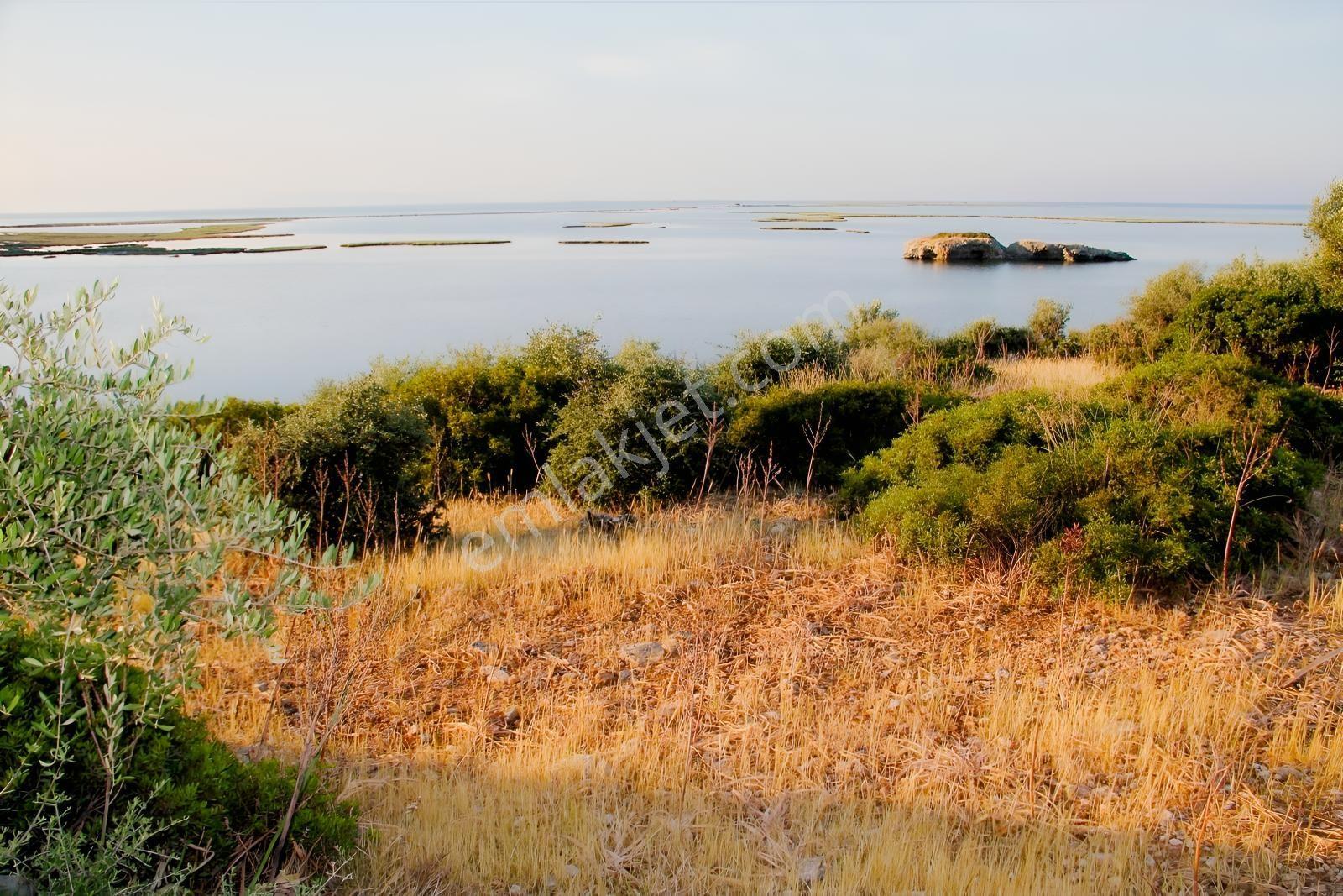 Doğanbey Eşsiz Doğası İçinde 432,26 M2 Müstakil 2 Parsel — fotoğraf 4