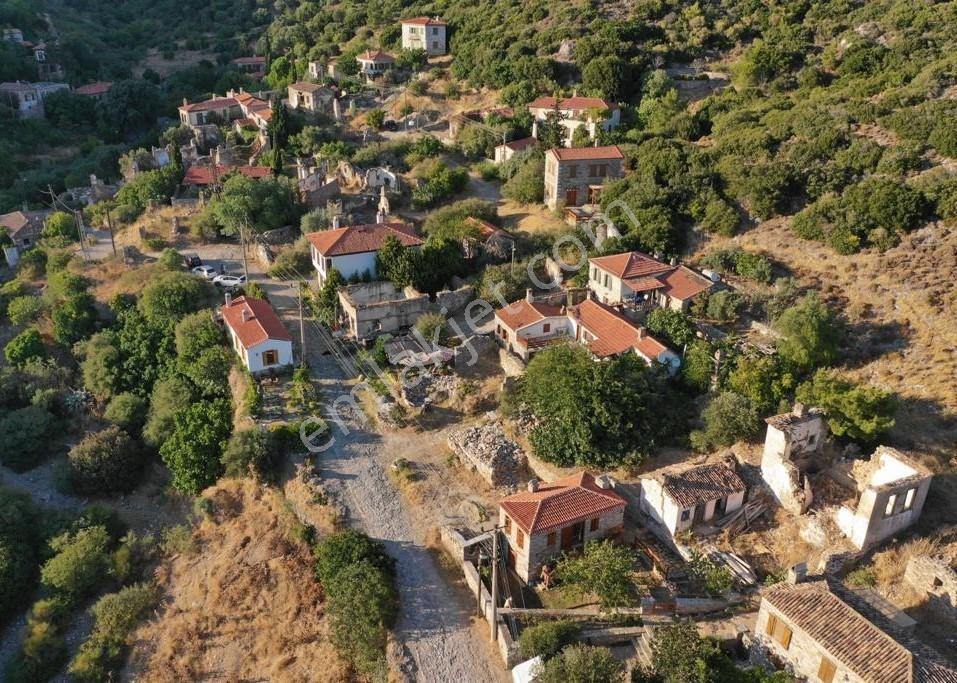 Doğanbey Eşsiz Doğası İçinde 432,26 M2 Müstakil 2 Parsel — fotoğraf 7