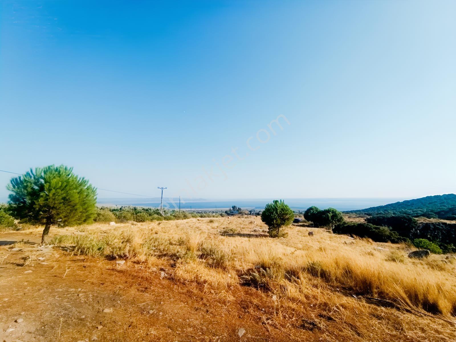 Doğanbey Eşsiz Doğası İçinde 432,26 M2 Müstakil 2 Parsel — fotoğraf 22