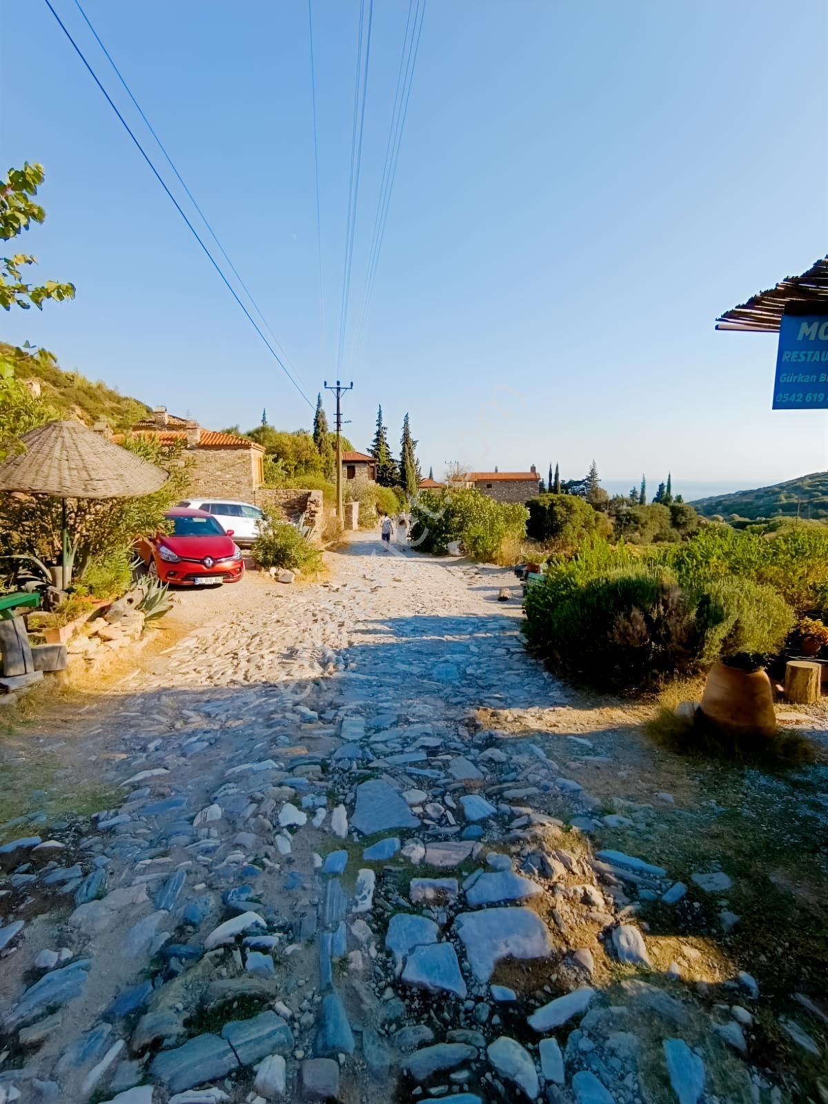 Doğanbey Eşsiz Doğası İçinde 432,26 M2 Müstakil 2 Parsel — fotoğraf 26