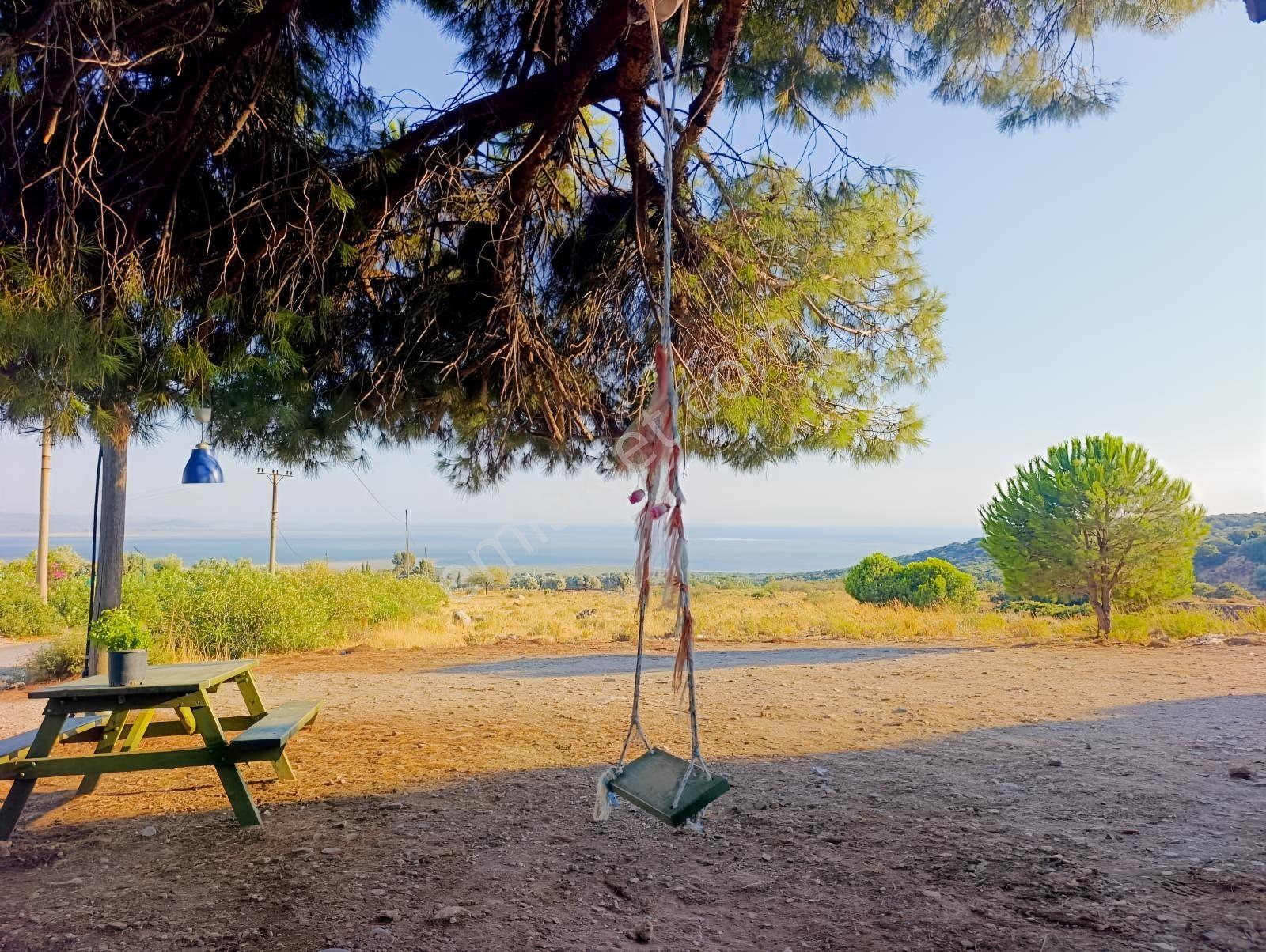 Doğanbey Eşsiz Doğası İçinde 432,26 M2 Müstakil 2 Parsel — fotoğraf 30
