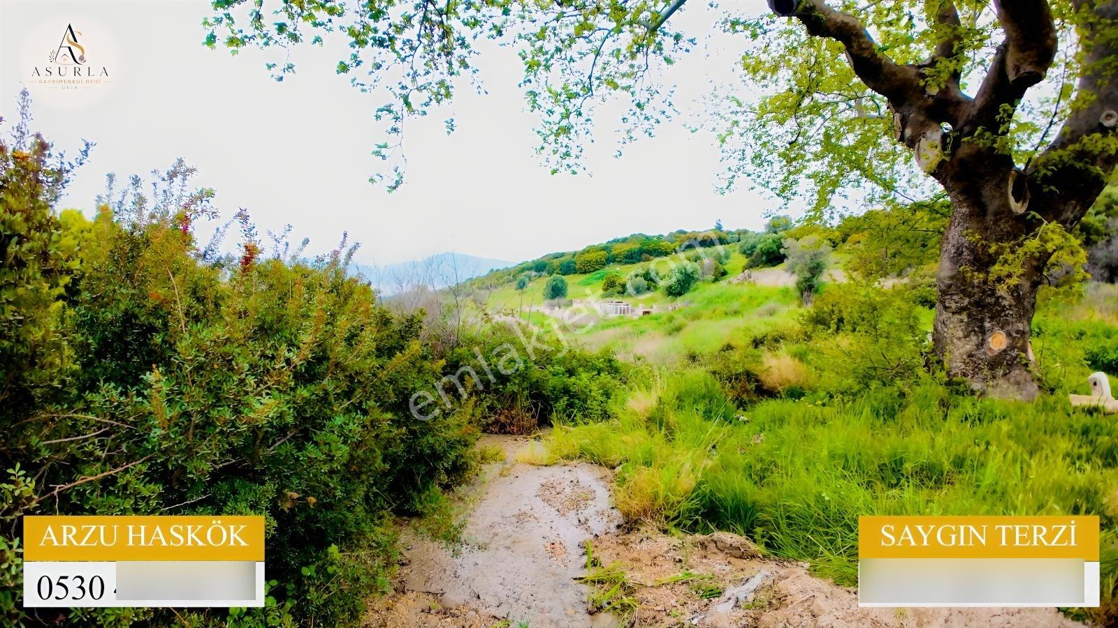 Urla Özbek'te Deniz Manzarasıyla Özel Bir Arsa — fotoğraf 8