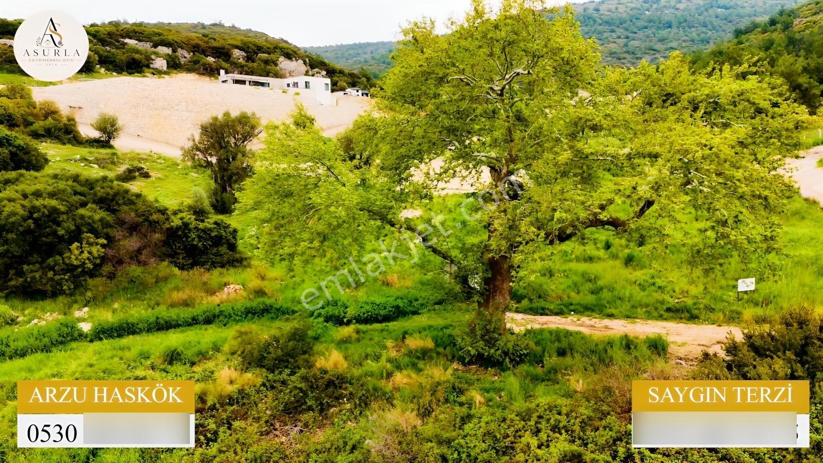 Urla Özbek'te Deniz Manzarasıyla Özel Bir Arsa — fotoğraf 10
