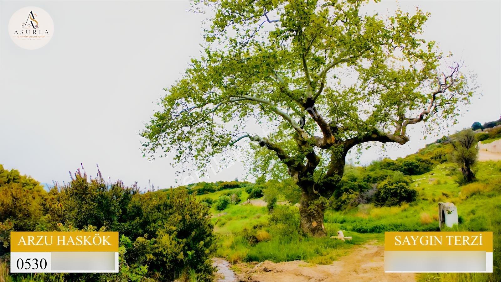 Urla Özbek'te Deniz Manzarasıyla Özel Bir Arsa — fotoğraf 11