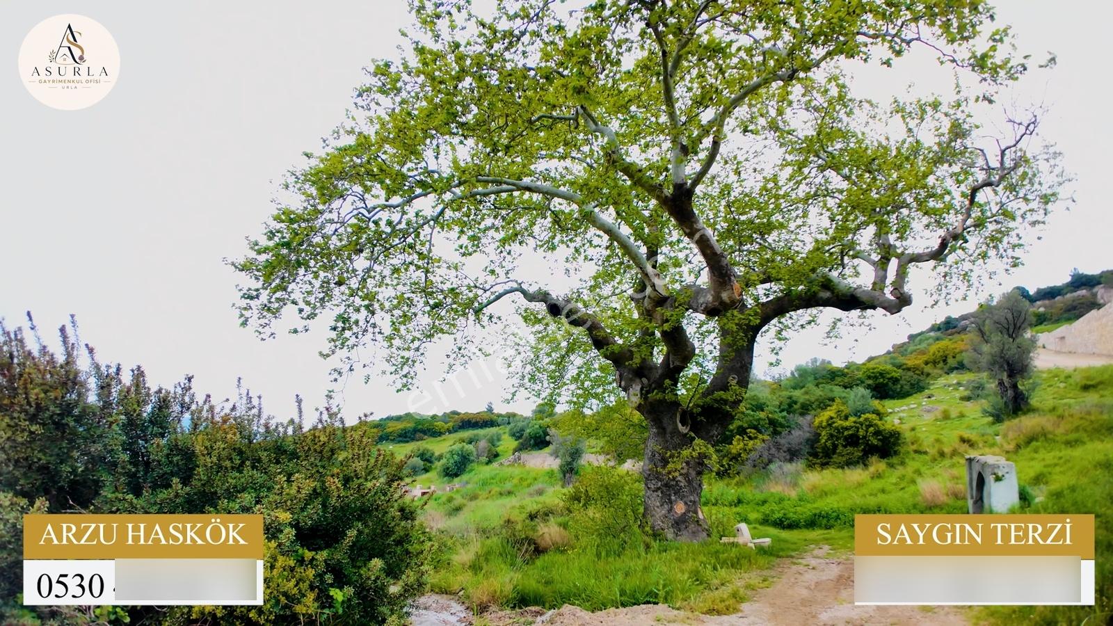Urla Özbek'te Deniz Manzarasıyla Özel Bir Arsa — fotoğraf 14