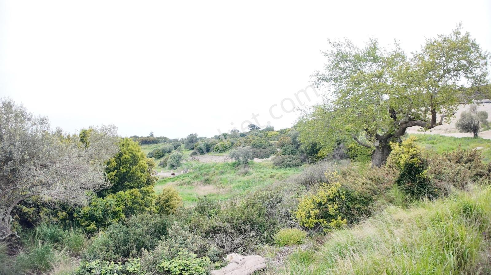 Urla Özbek'te Deniz Manzarasıyla Özel Bir Arsa — fotoğraf 17