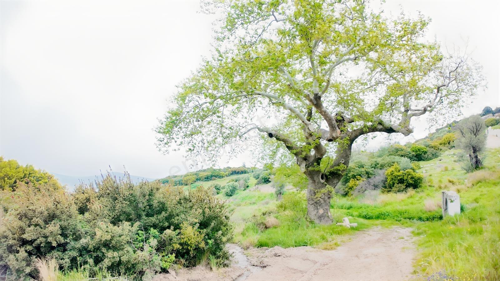 Urla Özbek'te Deniz Manzarasıyla Özel Bir Arsa — fotoğraf 18