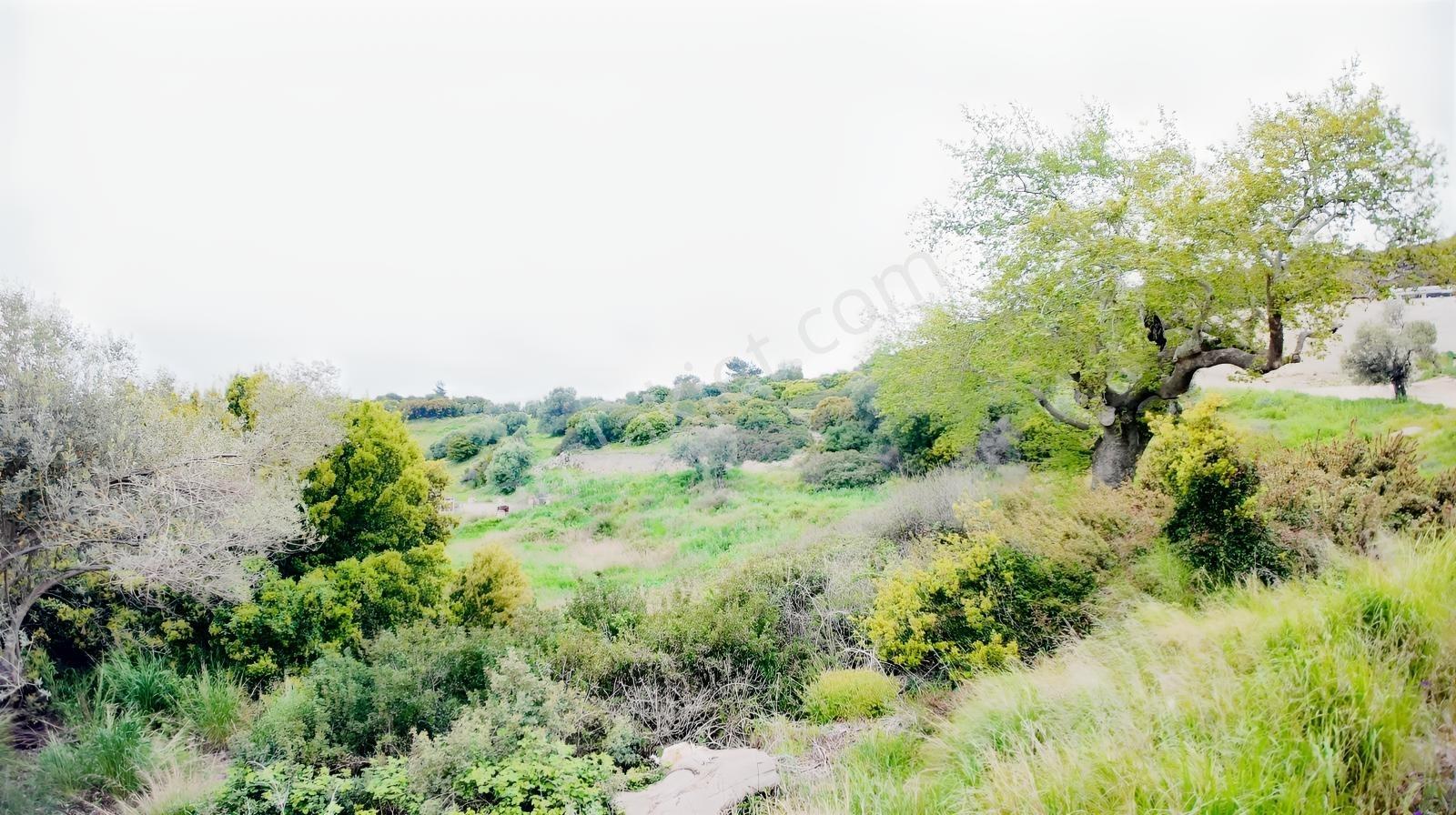 Urla Özbek'te Deniz Manzarasıyla Özel Bir Arsa — fotoğraf 19