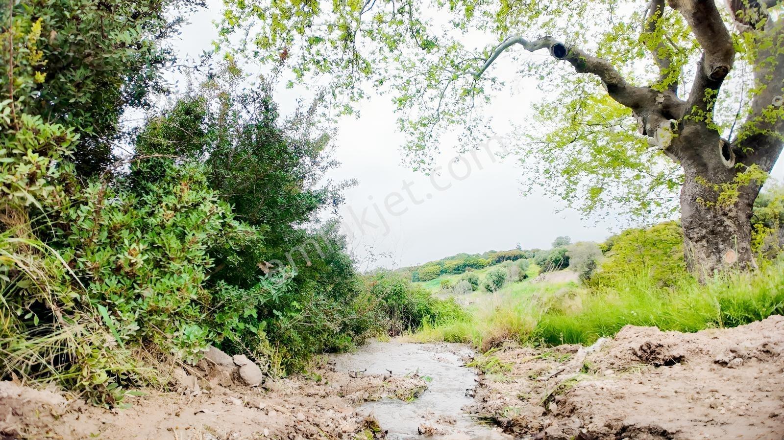 Urla Özbek'te Deniz Manzarasıyla Özel Bir Arsa — fotoğraf 20