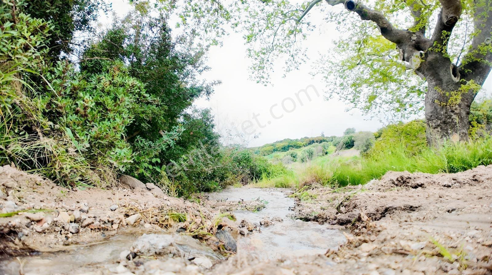 Urla Özbek'te Deniz Manzarasıyla Özel Bir Arsa — fotoğraf 21