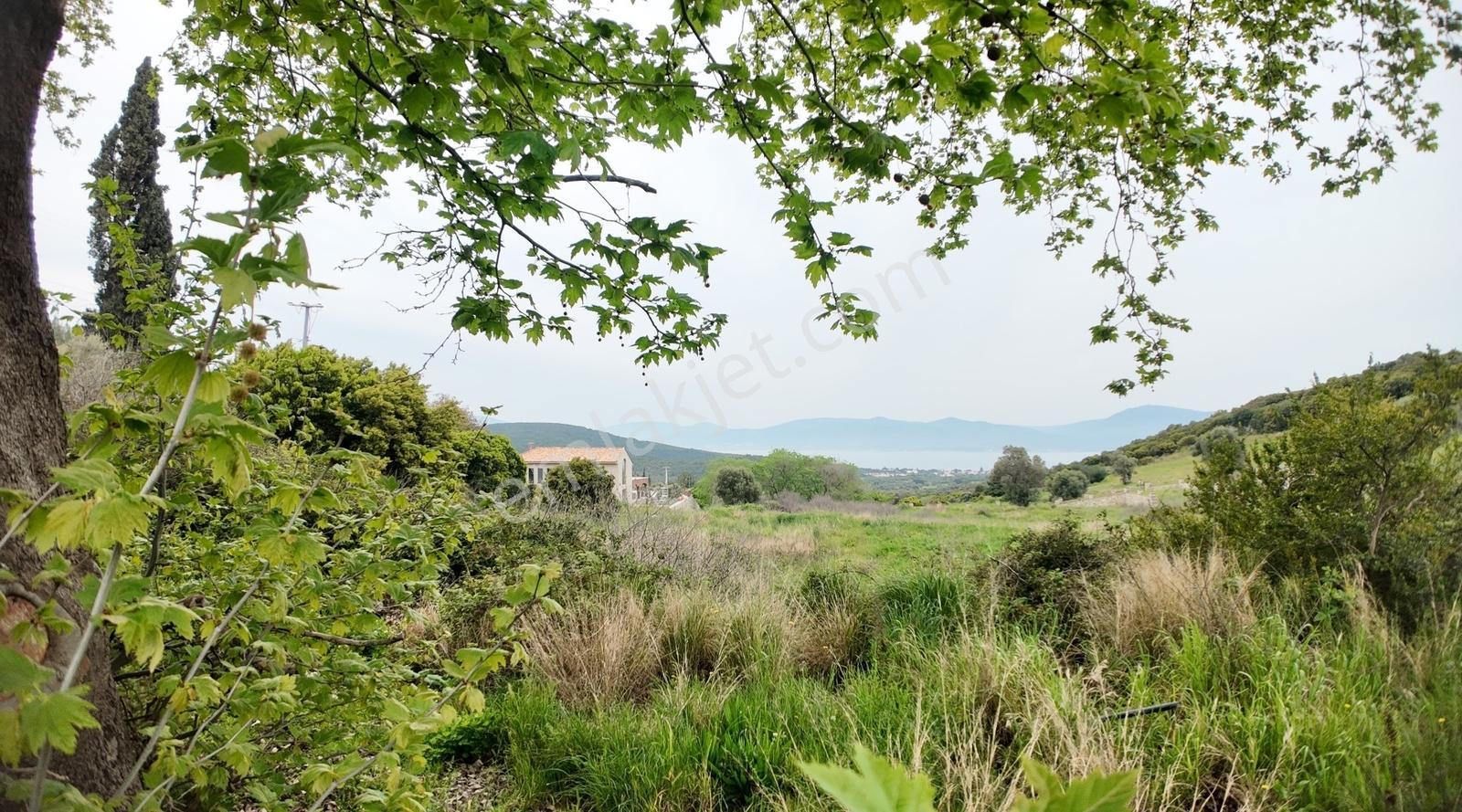 Urla Özbek'te Deniz Manzarasıyla Özel Bir Arsa — fotoğraf 23