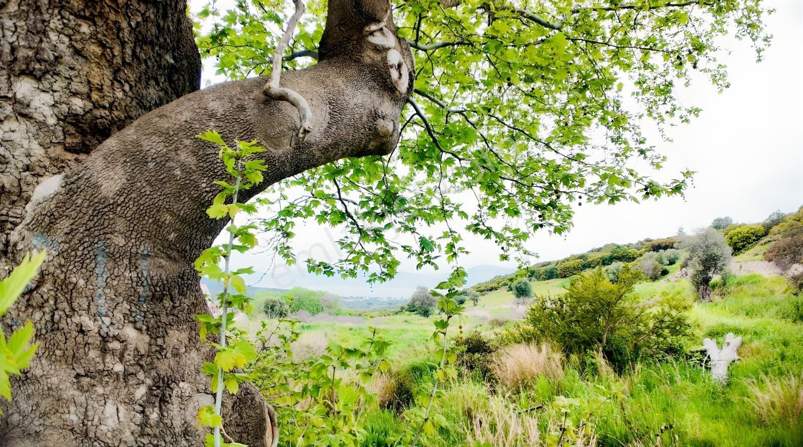 Urla Özbek'te Deniz Manzarasıyla Özel Bir Arsa — fotoğraf 24