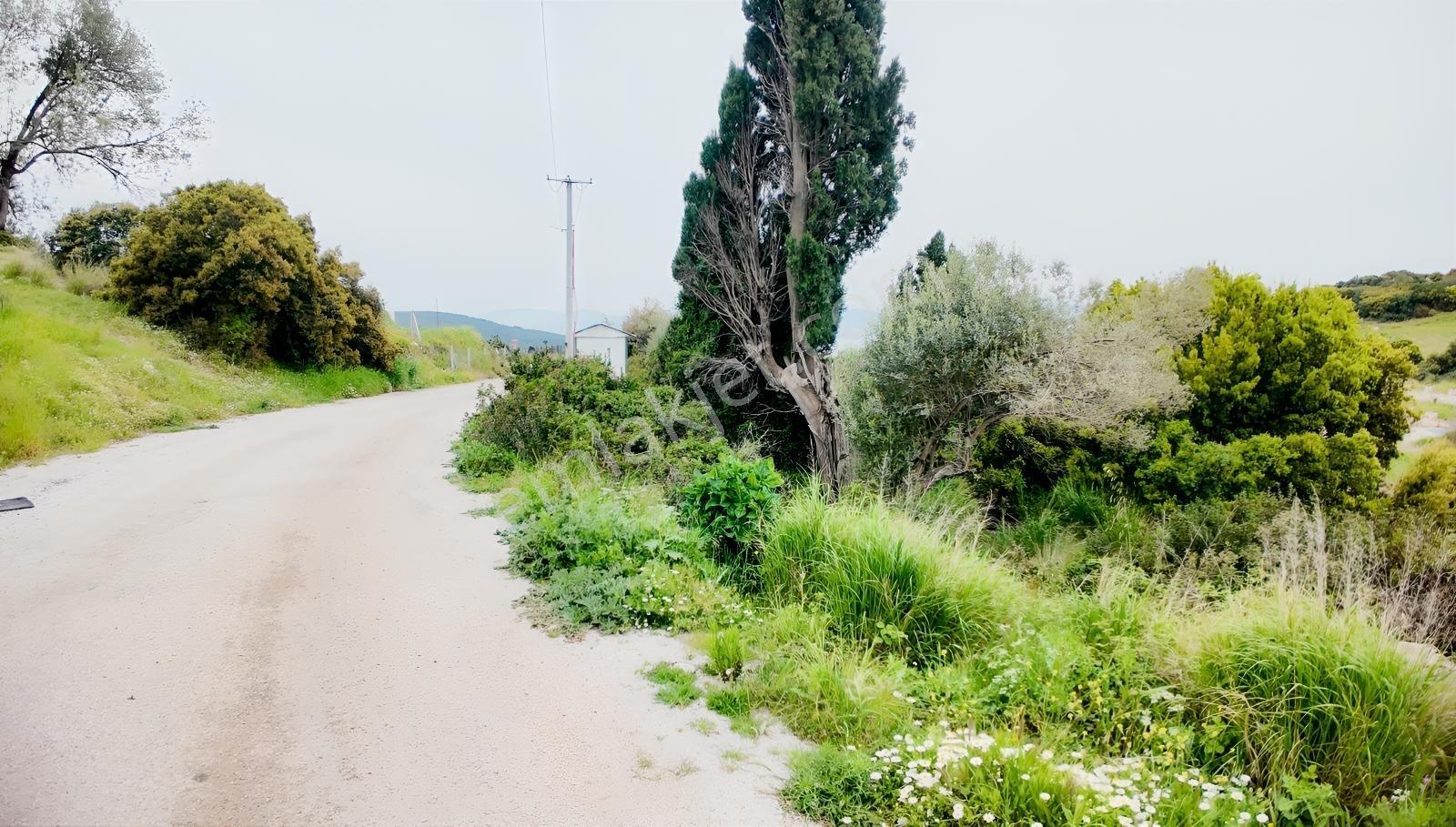 Urla Özbek'te Deniz Manzarasıyla Özel Bir Arsa — fotoğraf 25