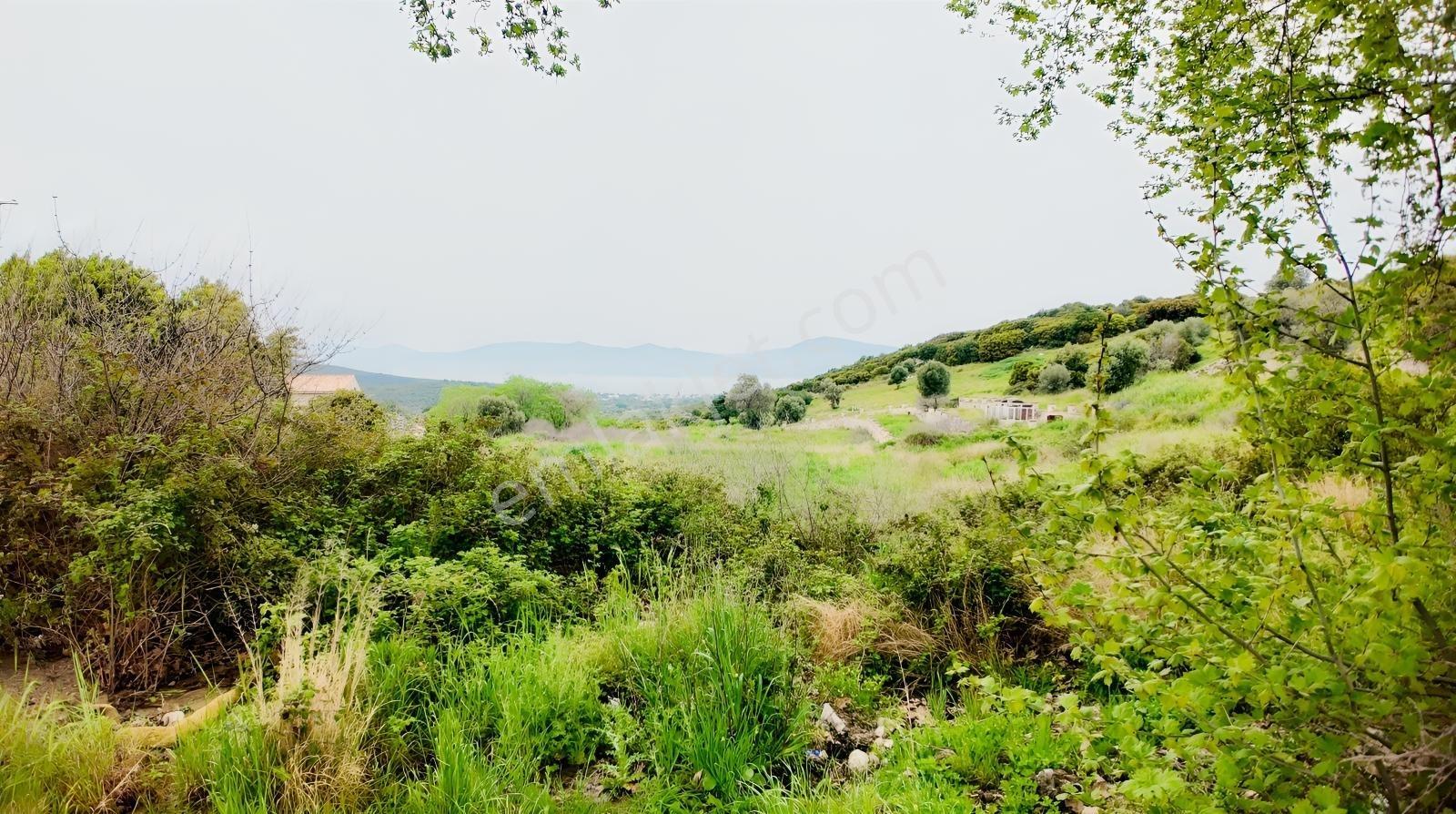 Urla Özbek'te Deniz Manzarasıyla Özel Bir Arsa — fotoğraf 26