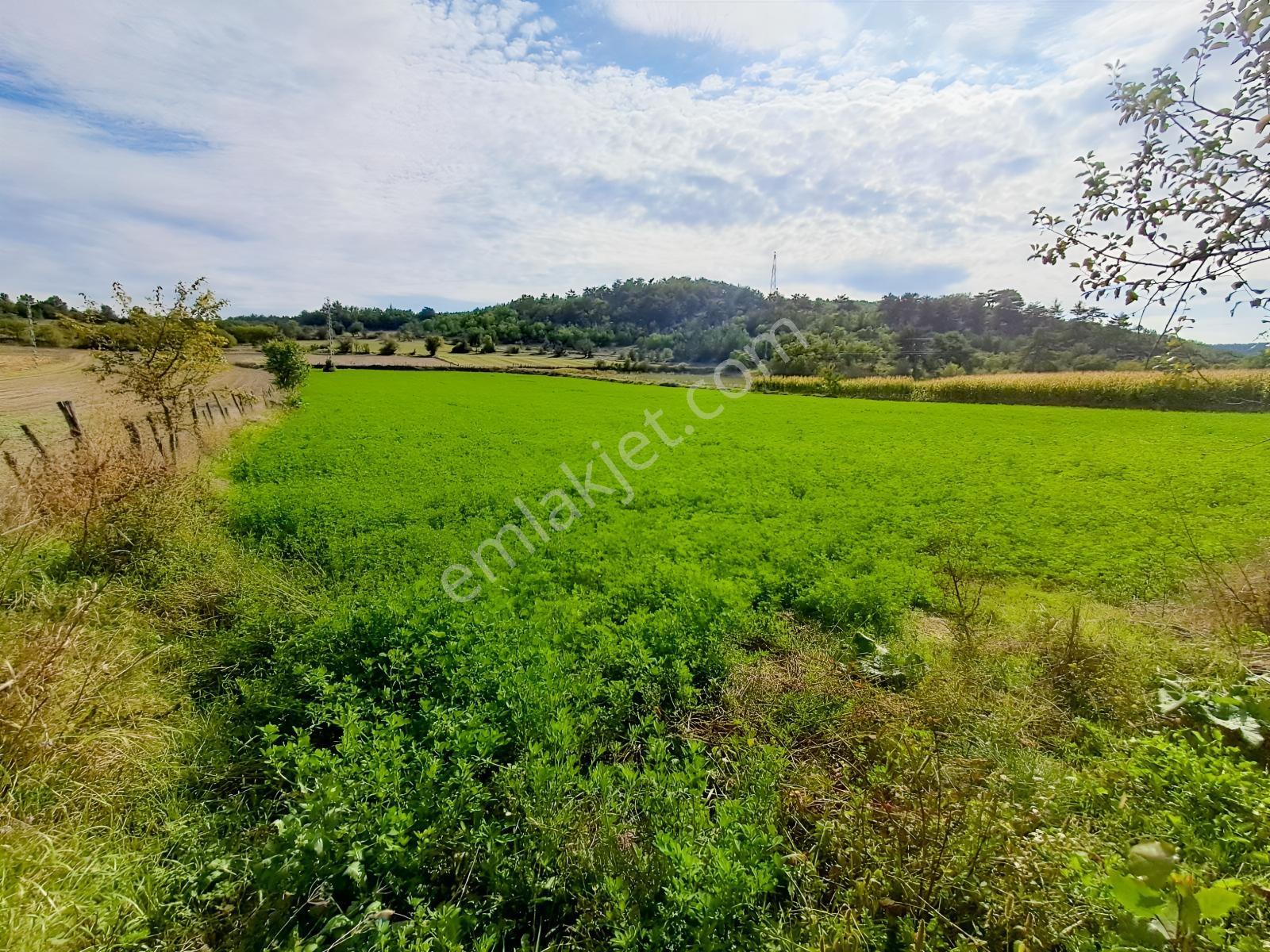 Akçelikten Daday Yoluna 450 M. Merkeze 10-15 Dk Değerli Arazi — fotoğraf 2