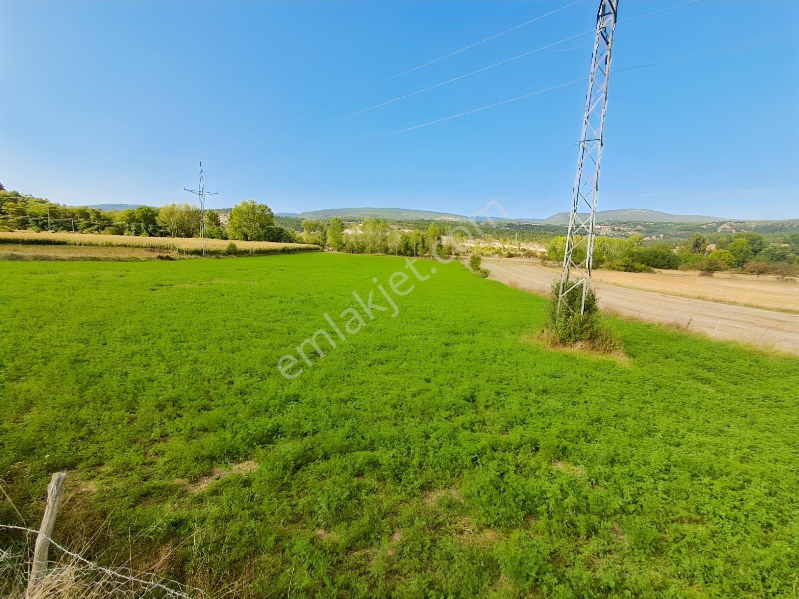 Akçelikten Daday Yoluna 450 M. Merkeze 10-15 Dk Değerli Arazi — fotoğraf 8