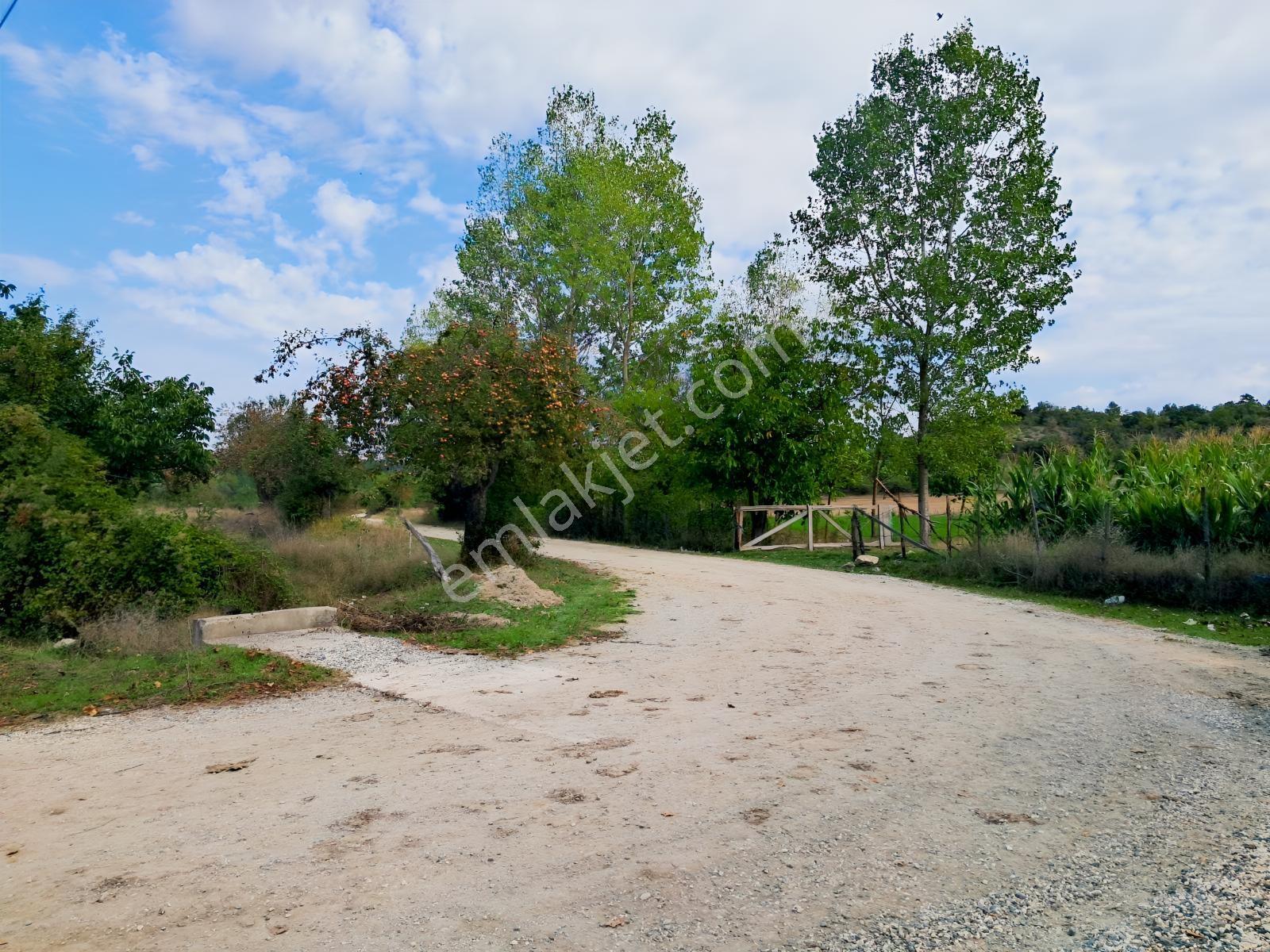 Akçelikten Daday Yoluna 450 M. Merkeze 10-15 Dk Değerli Arazi — fotoğraf 9
