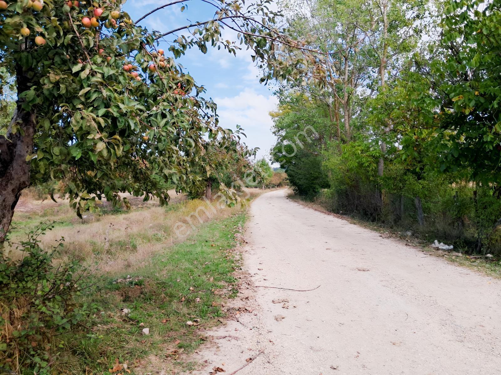 Akçelikten Daday Yoluna 450 M. Merkeze 10-15 Dk Değerli Arazi — fotoğraf 14
