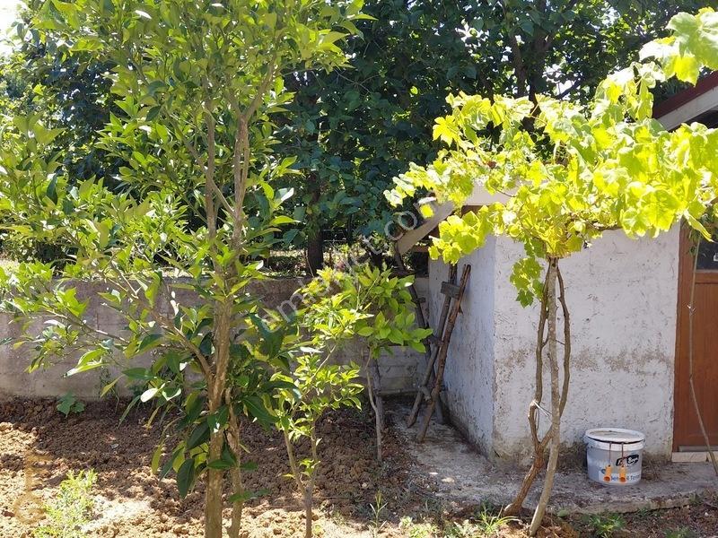 Kandıra Karaağaç' Ta 1280m² Arsa İçinde Hazır Bahçeli Villa — fotoğraf 30