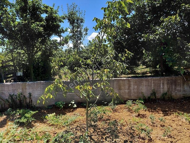 Kandıra Karaağaç' Ta 1280m² Arsa İçinde Hazır Bahçeli Villa — fotoğraf 33