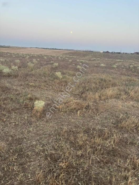Ergene Cumhuriyet 600 M2 Yeni Devlet Hastanesine Yakın Arsa — fotoğraf 4