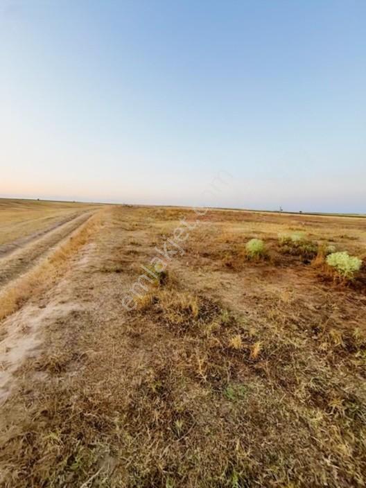 Ergene Cumhuriyet 600 M2 Yeni Devlet Hastanesine Yakın Arsa — fotoğraf 5