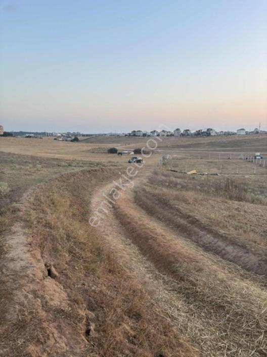 Ergene Cumhuriyet 600 M2 Yeni Devlet Hastanesine Yakın Arsa — fotoğraf 7