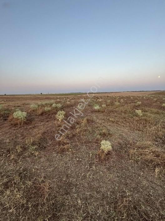 Ergene Cumhuriyet 600 M2 Yeni Devlet Hastanesine Yakın Arsa — fotoğraf 8