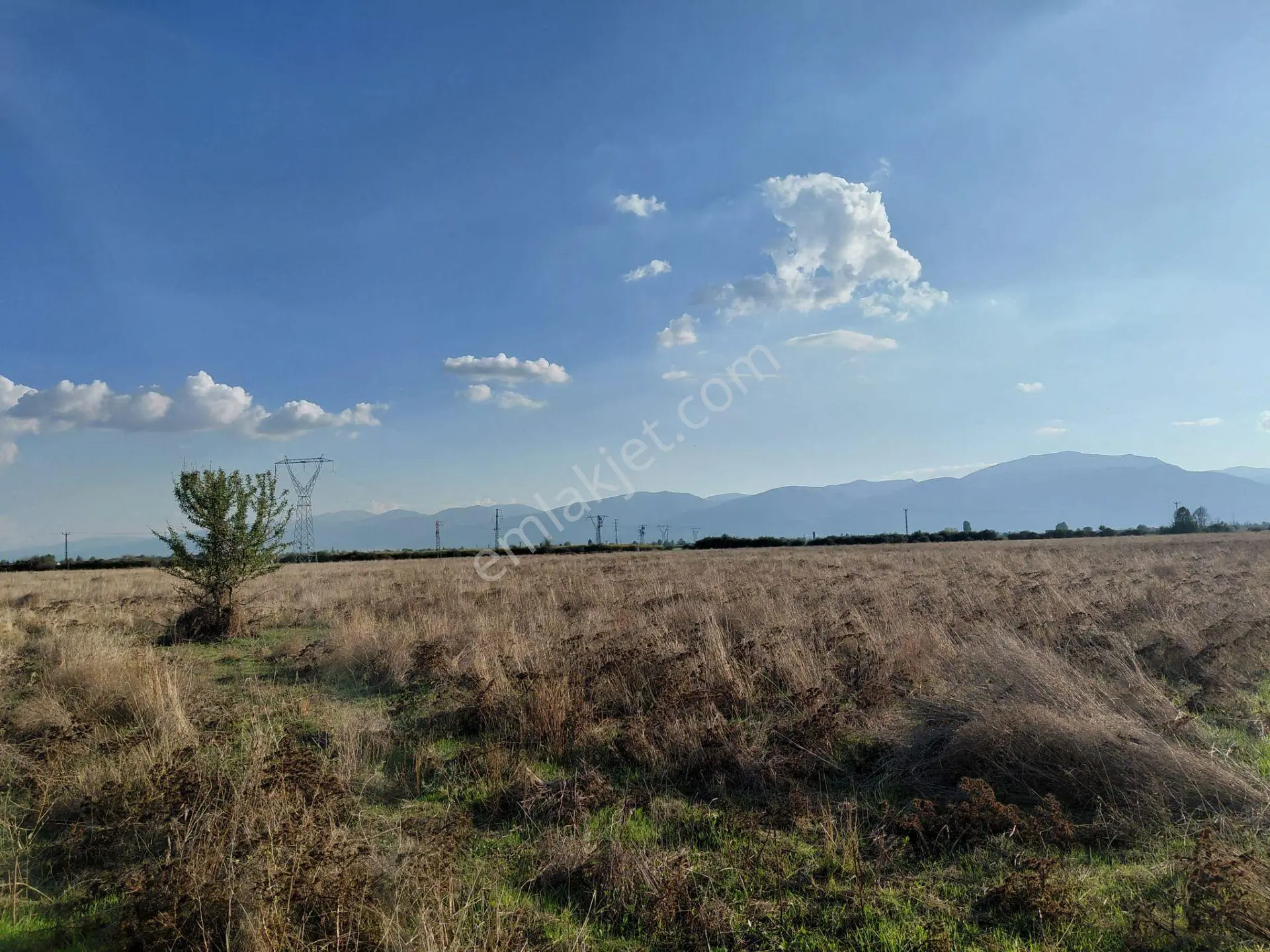 Bizim Emlaktan Akşehir Söğütlü'de Satılık 9463 M² Geniş Tarla — fotoğraf 4