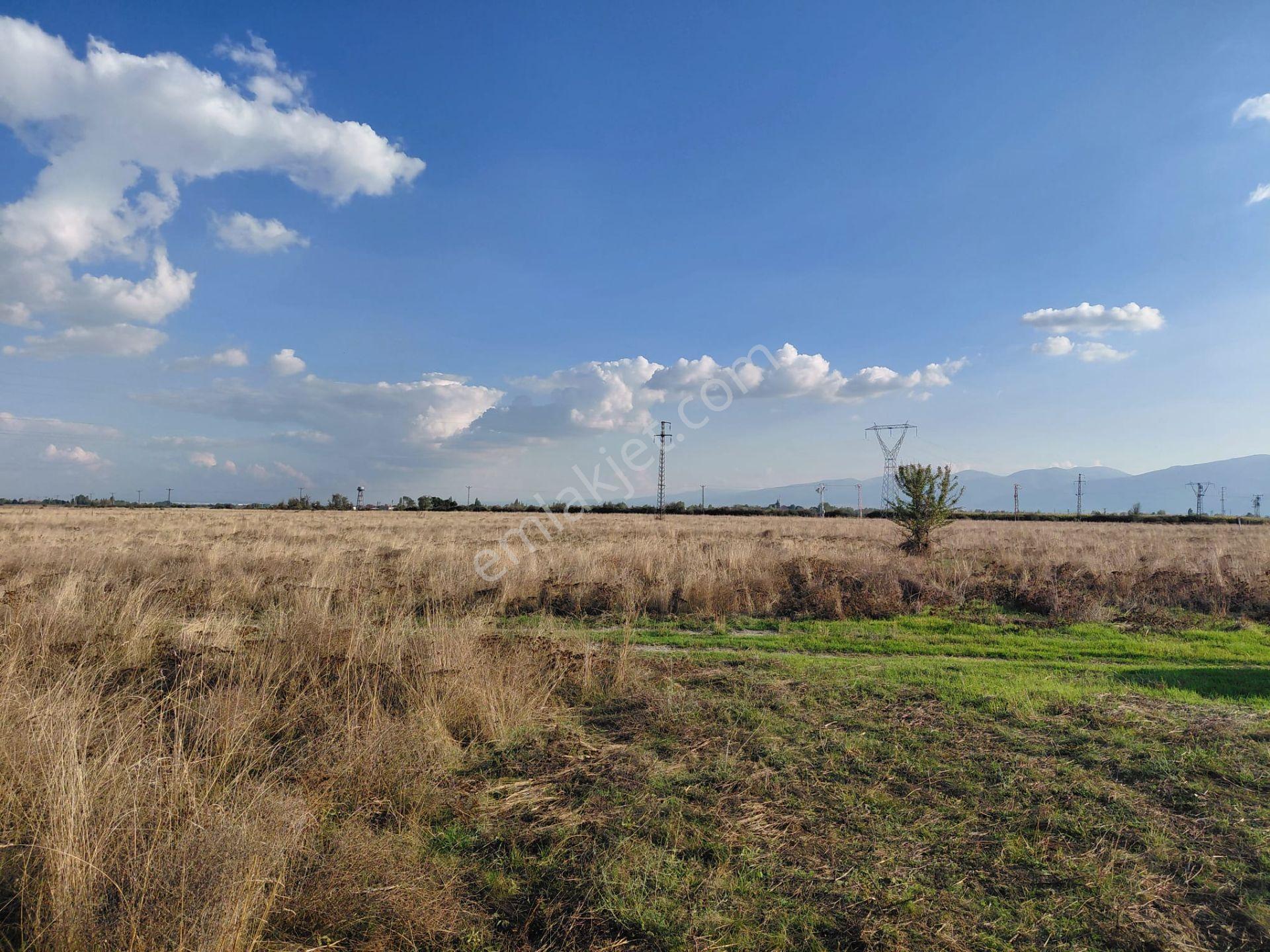 Bizim Emlaktan Akşehir Söğütlü'de Satılık 9463 M² Geniş Tarla — fotoğraf 7