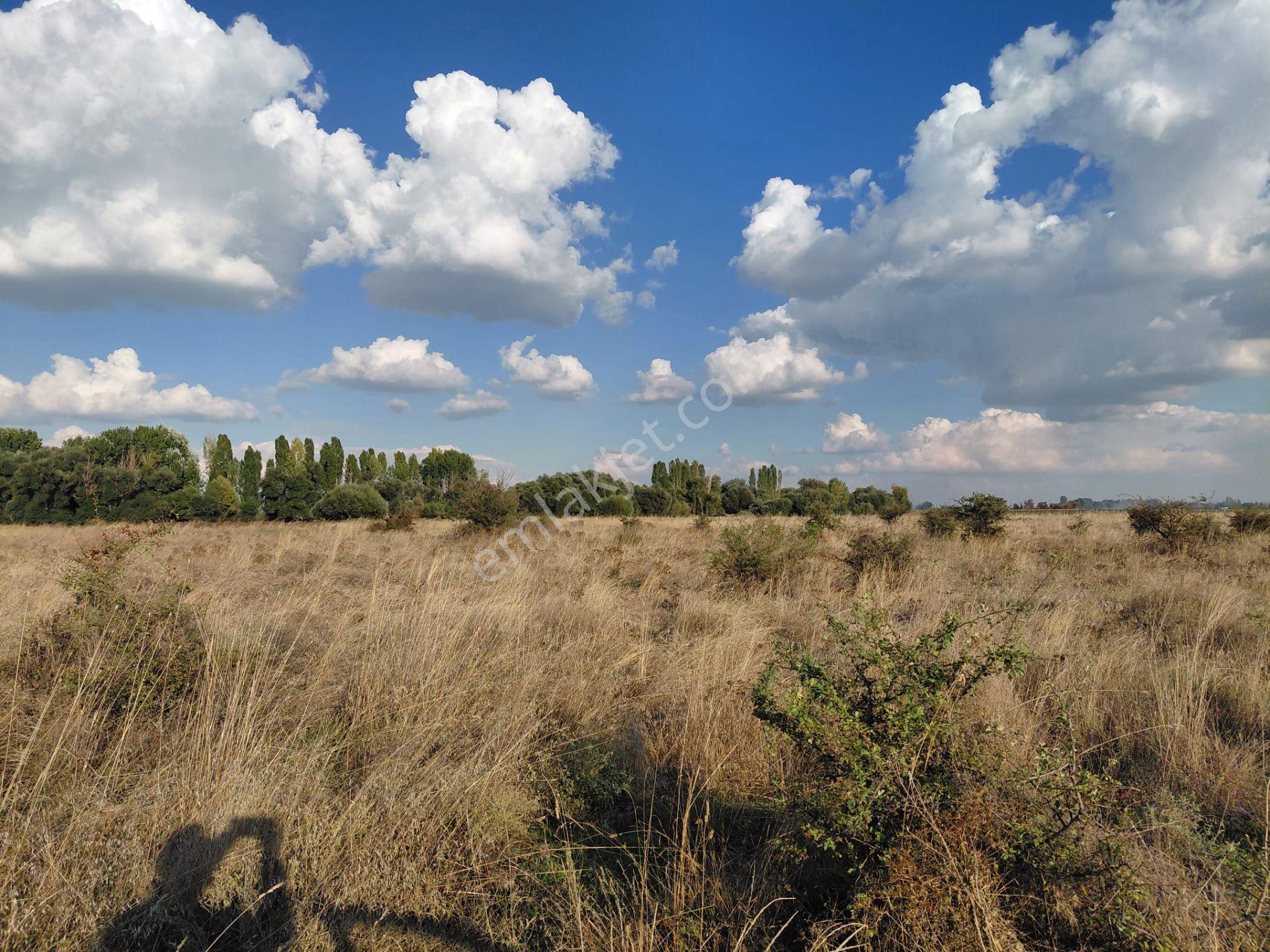 Bizim Emlaktan Akşehir Söğütlü'de Satılık 9463 M² Geniş Tarla — fotoğraf 8