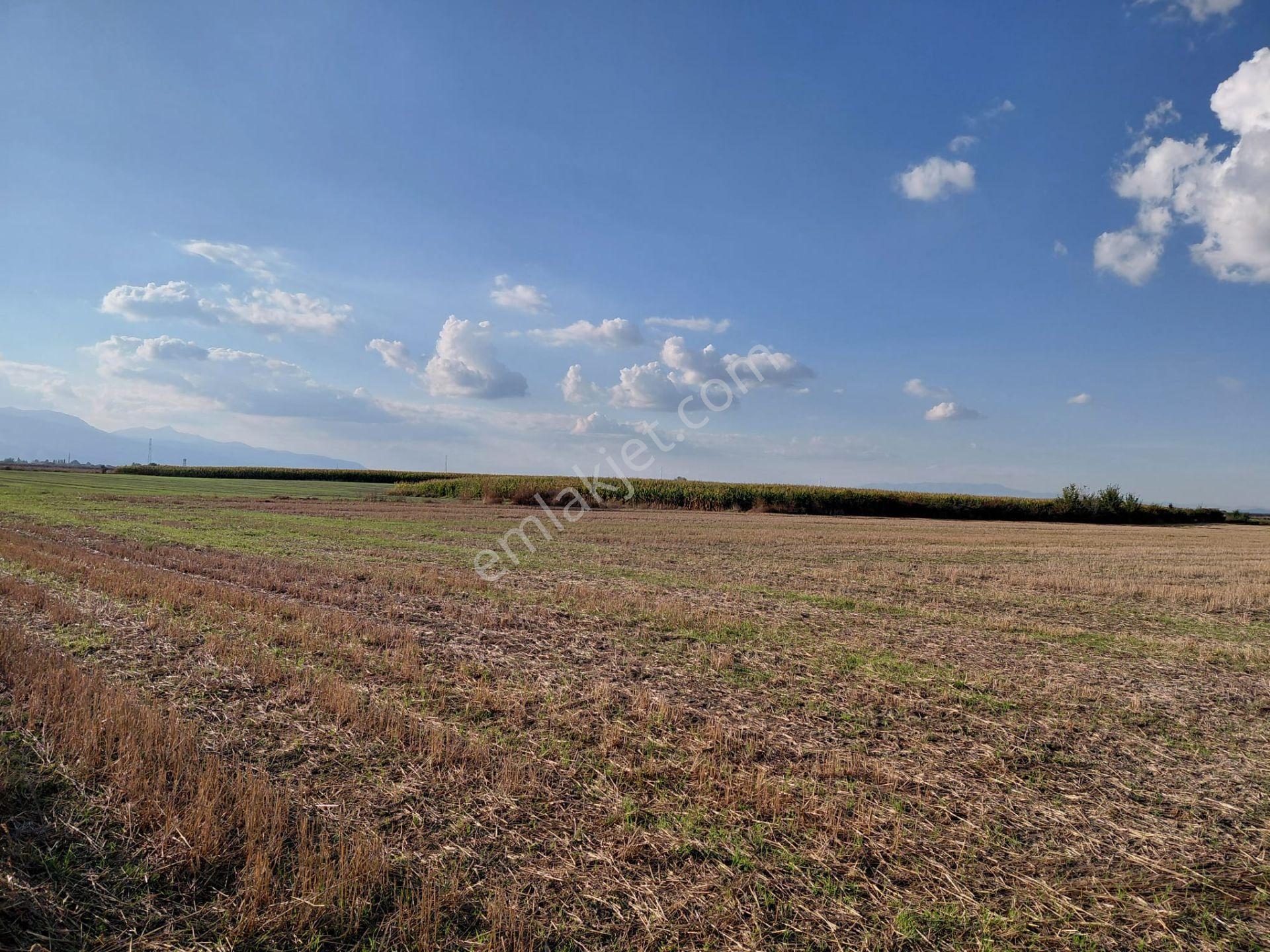 Bizim Emlaktan Akşehir Söğütlü'de Satılık 9463 M² Geniş Tarla — fotoğraf 16