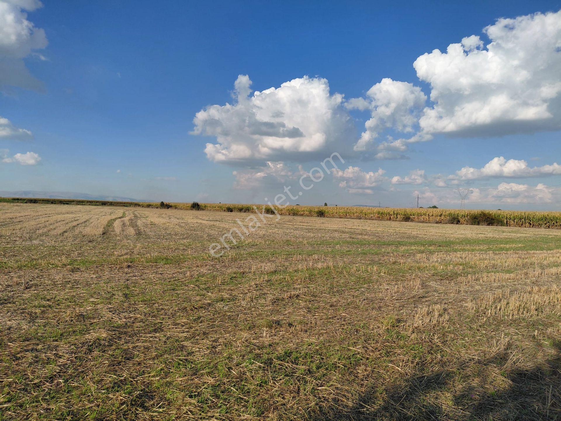 Bizim Emlaktan Akşehir Söğütlü'de Satılık 9463 M² Geniş Tarla — fotoğraf 17