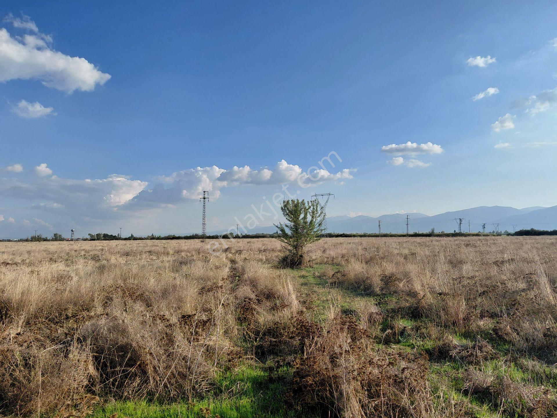Bizim Emlaktan Akşehir Söğütlü'de Satılık 9463 M² Geniş Tarla — fotoğraf 22