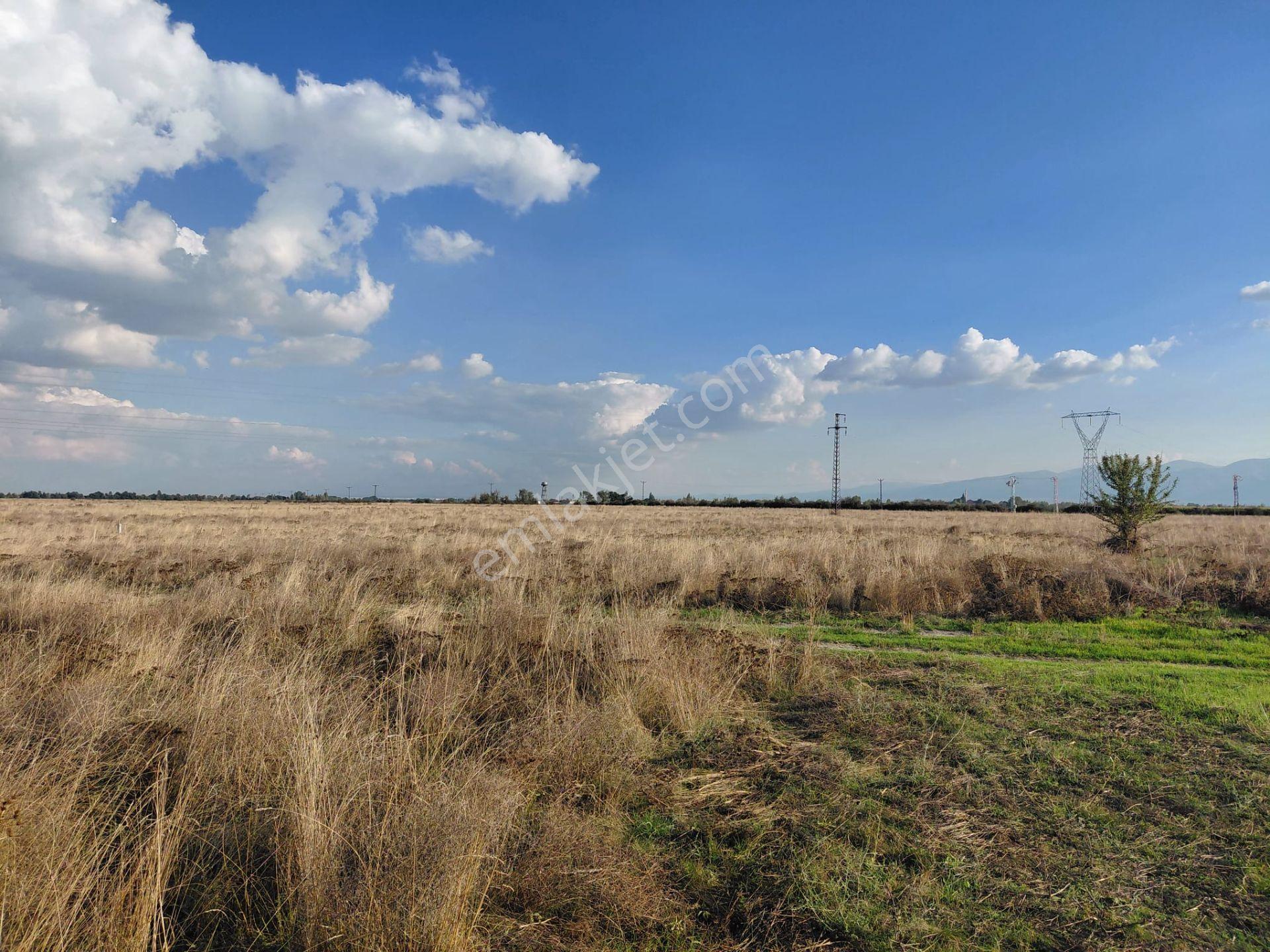 Bizim Emlaktan Akşehir Söğütlü'de Satılık 9463 M² Geniş Tarla — fotoğraf 25