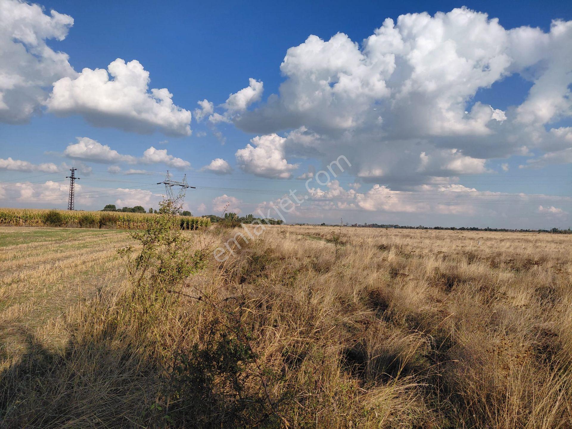 Bizim Emlaktan Akşehir Söğütlü'de Satılık 9463 M² Geniş Tarla — fotoğraf 29