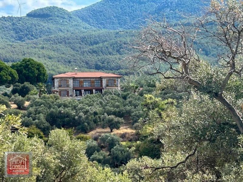 Davutlar Merkeze 300 Mt 14.000 M² Panoramik Deniz Manzaralı Arsa — fotoğraf 5