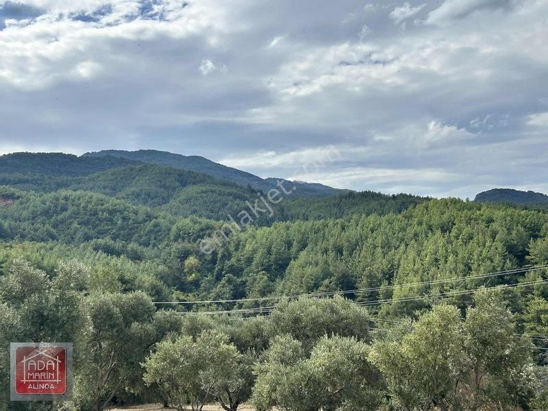Davutlar Merkeze 300 Mt 14.000 M² Panoramik Deniz Manzaralı Arsa — fotoğraf 7