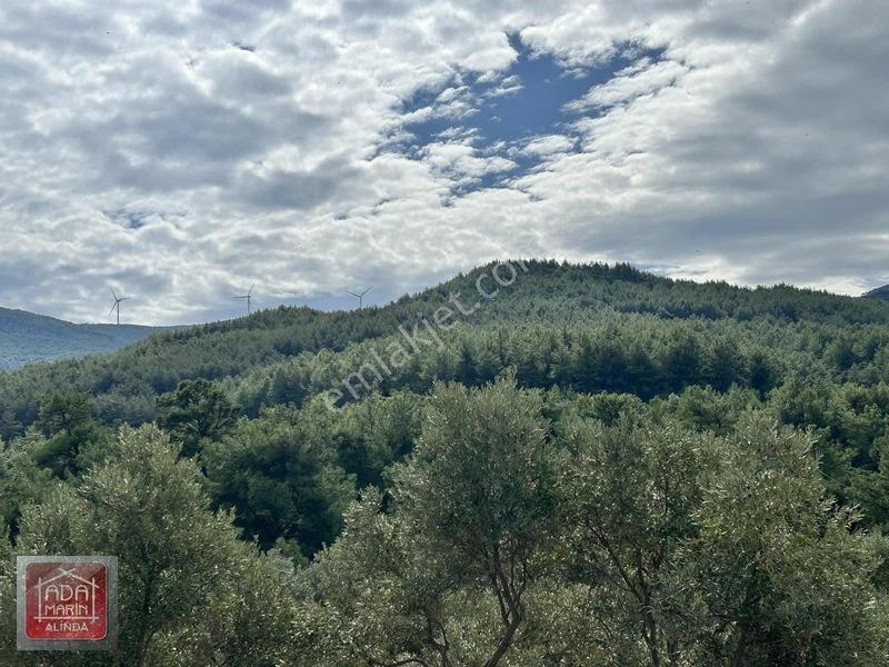 Davutlar Merkeze 300 Mt 14.000 M² Panoramik Deniz Manzaralı Arsa — fotoğraf 8