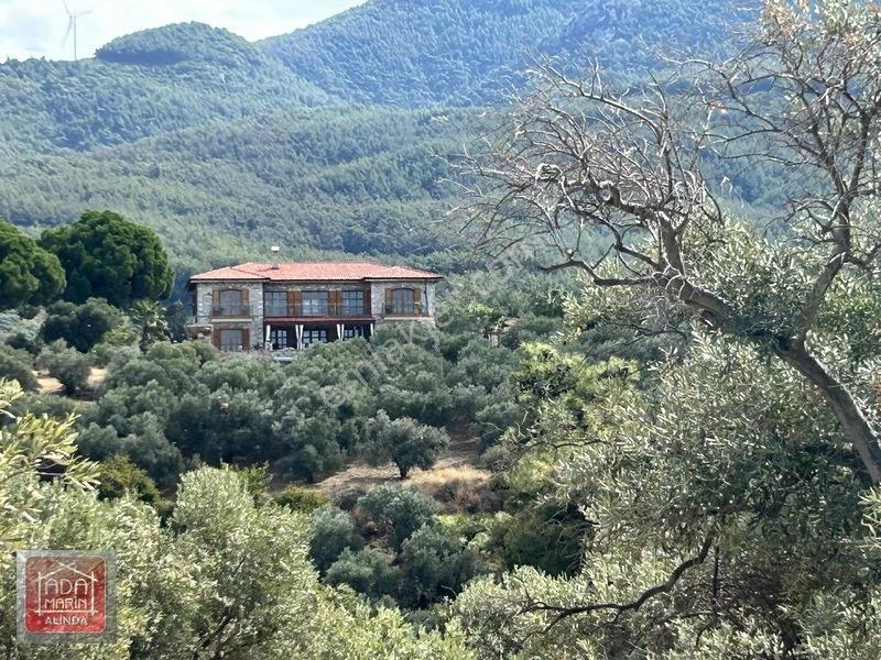 Davutlar Merkeze 300 Mt 14.000 M² Panoramik Deniz Manzaralı Arsa — fotoğraf 12